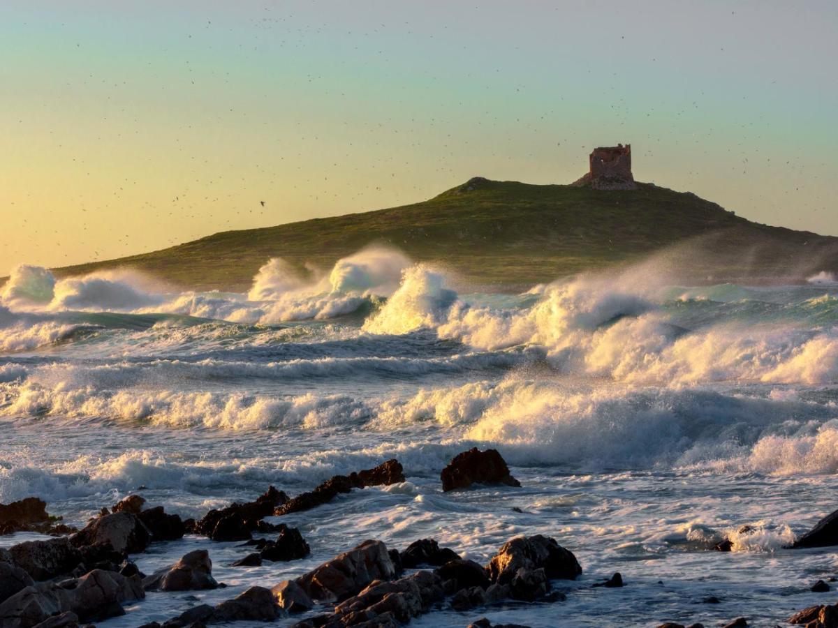 La Casetta Sul Mare Isola delle Femmine Exteriör bild